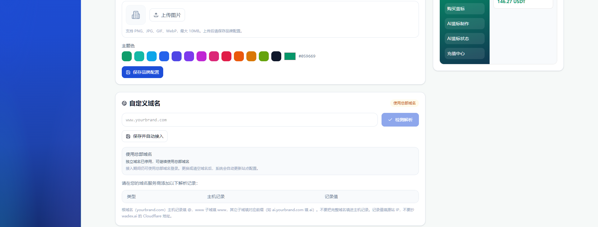 OEM 自定义域名配置截图
